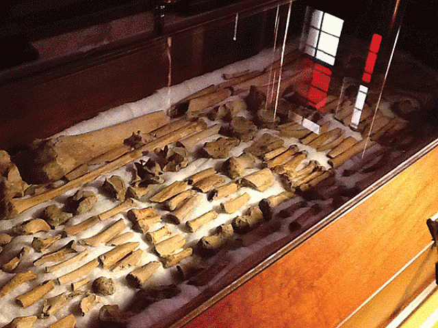 λειψανα αγιου μυρωνος