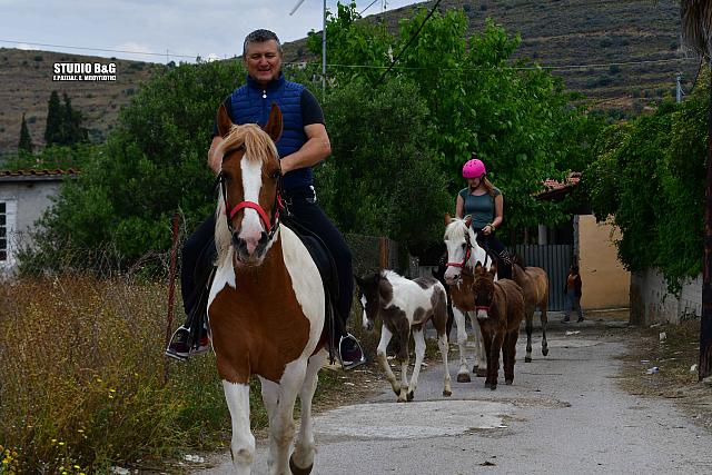 αλογα ναυπλιο