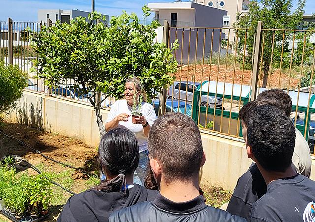 συνεταιριστική τράπεζα χανίων