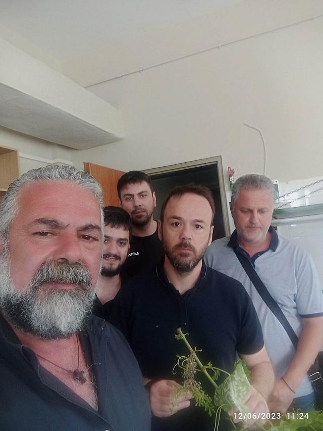 ελγο δημητρα - ιερωνυμακης