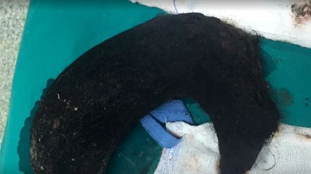  μάζα από&nbsp;τρίχες