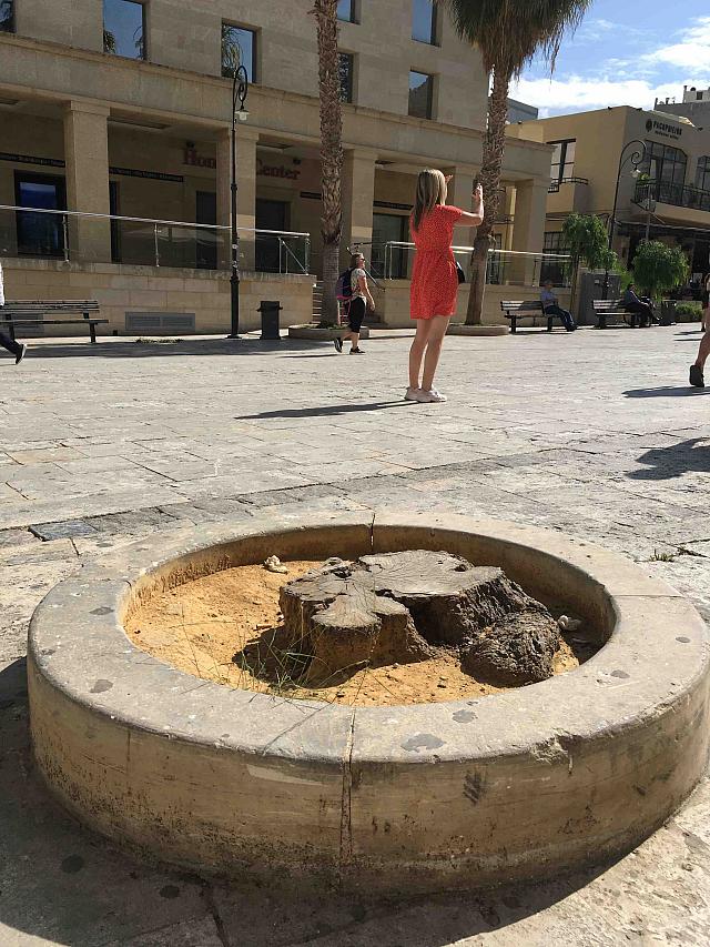 Πλατεία Αγίου Τίτου