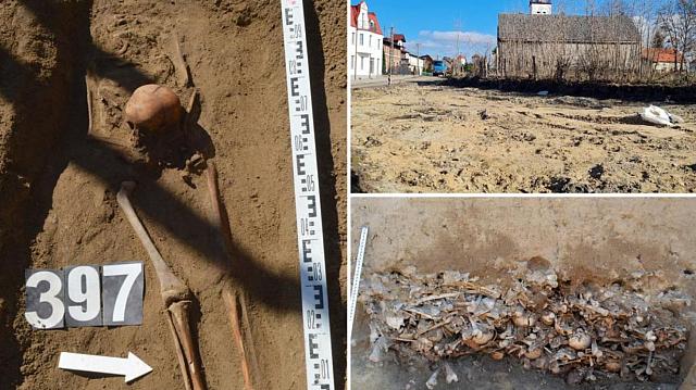 πολωνια βαμπιρ