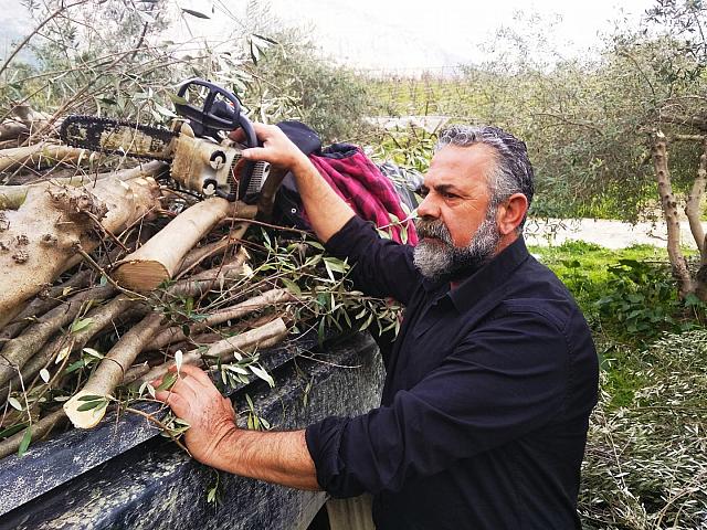 Πρίαμος Ιερωνυμάκης