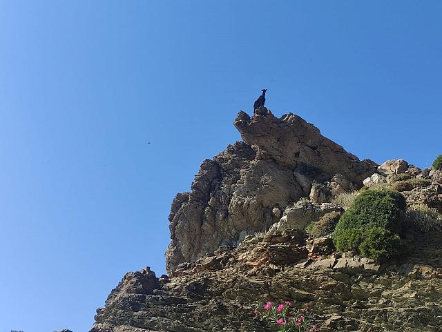 Θανάσης Κολοτούρος