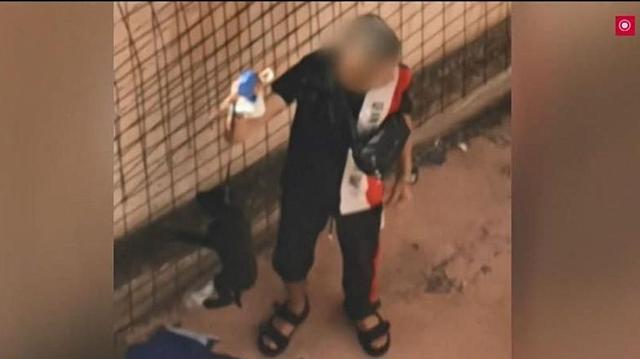 κακοποιηση σκυλου