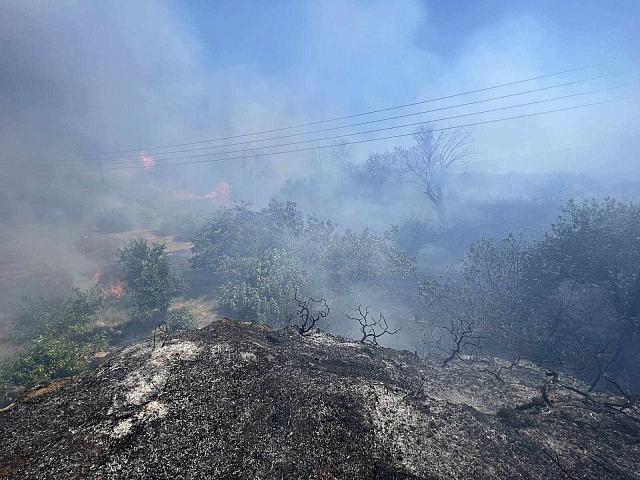 Φωτιά στο Ασήμι