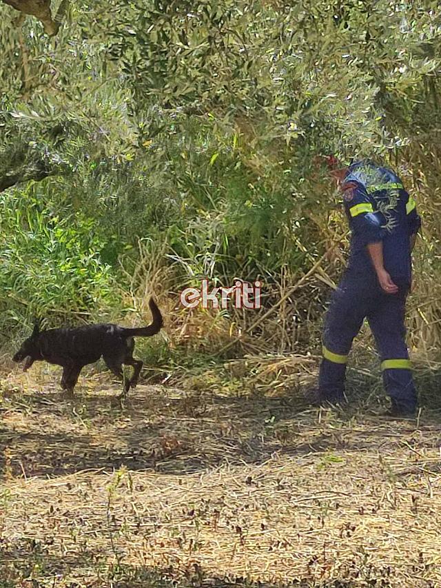 εξαφανιση Αρμανώγεια