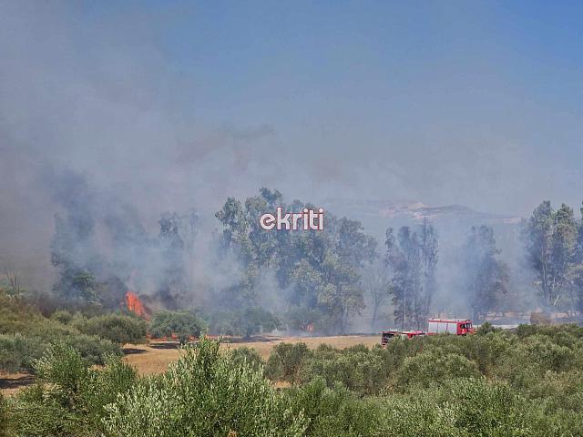 Φωτιά - Μεσαρά