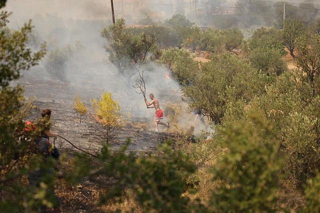 Φωτιά στη Φυλή