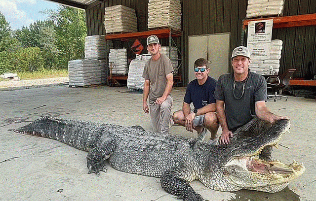 ΑΛΙΓΑΤΑΡΟΣ