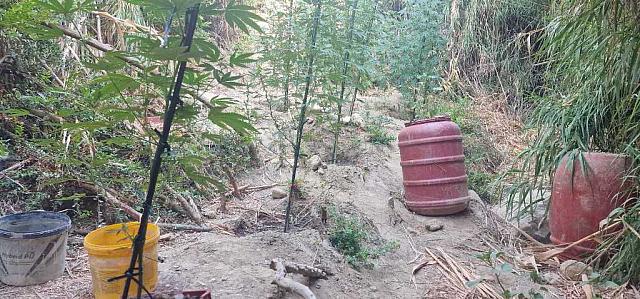 Ναρκωτικά - Δίωξη