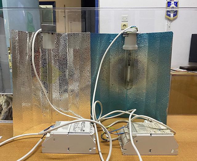 κάνναβη λασίθι