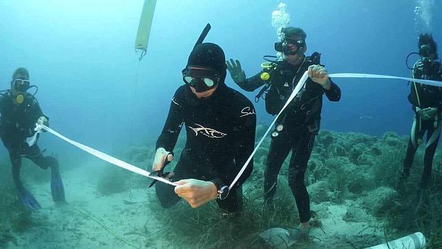 Σαν σήμερα το 2020, έγιναν τα εγκαίνια του πρώτου υποβρυχίου μουσείου της Ελλάδας