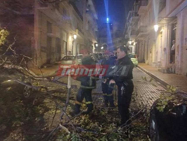 δεντρο πατρα