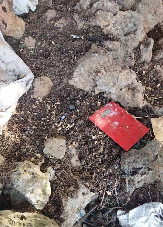 Βρήκαν τη χασισοφυτεία και μεγάλη ποσότητα κάνναβης