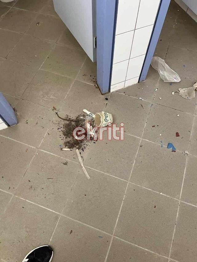 παγκρήτιο τουαλέτες