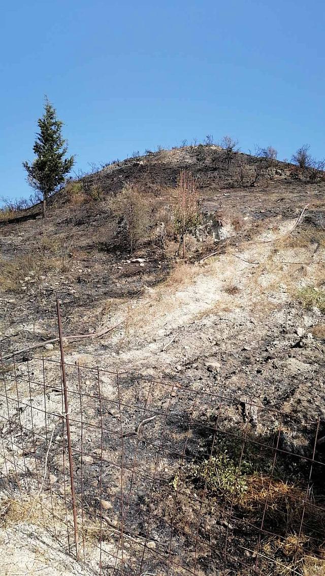 Ηράκλειο: Συναγερμός στην Πυροσβεστική για πυρκαγιά