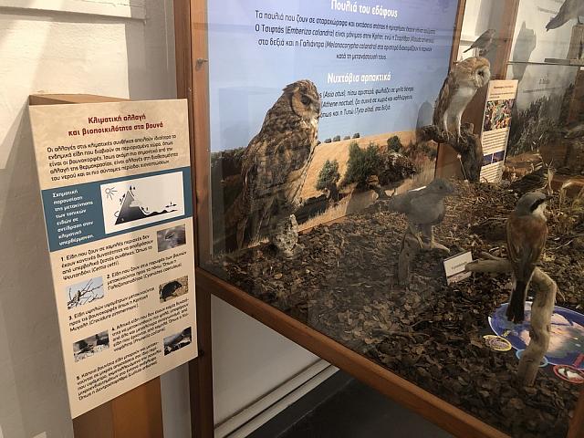 Μουσείο Γεργερης