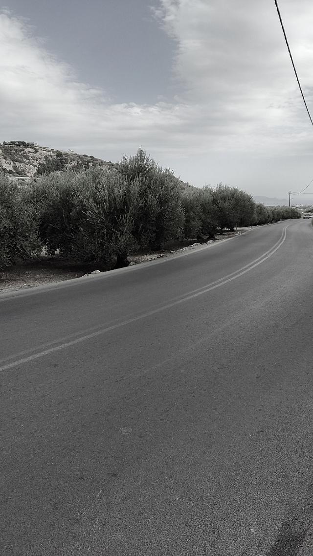 σκουπίδια - χωράφι