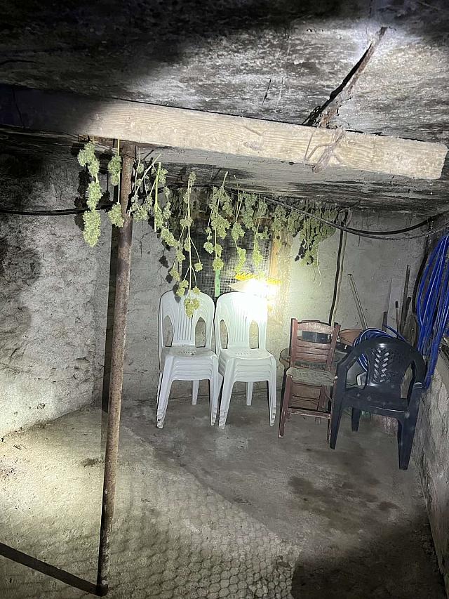 χασισοφυτεία μυλοπόταμος