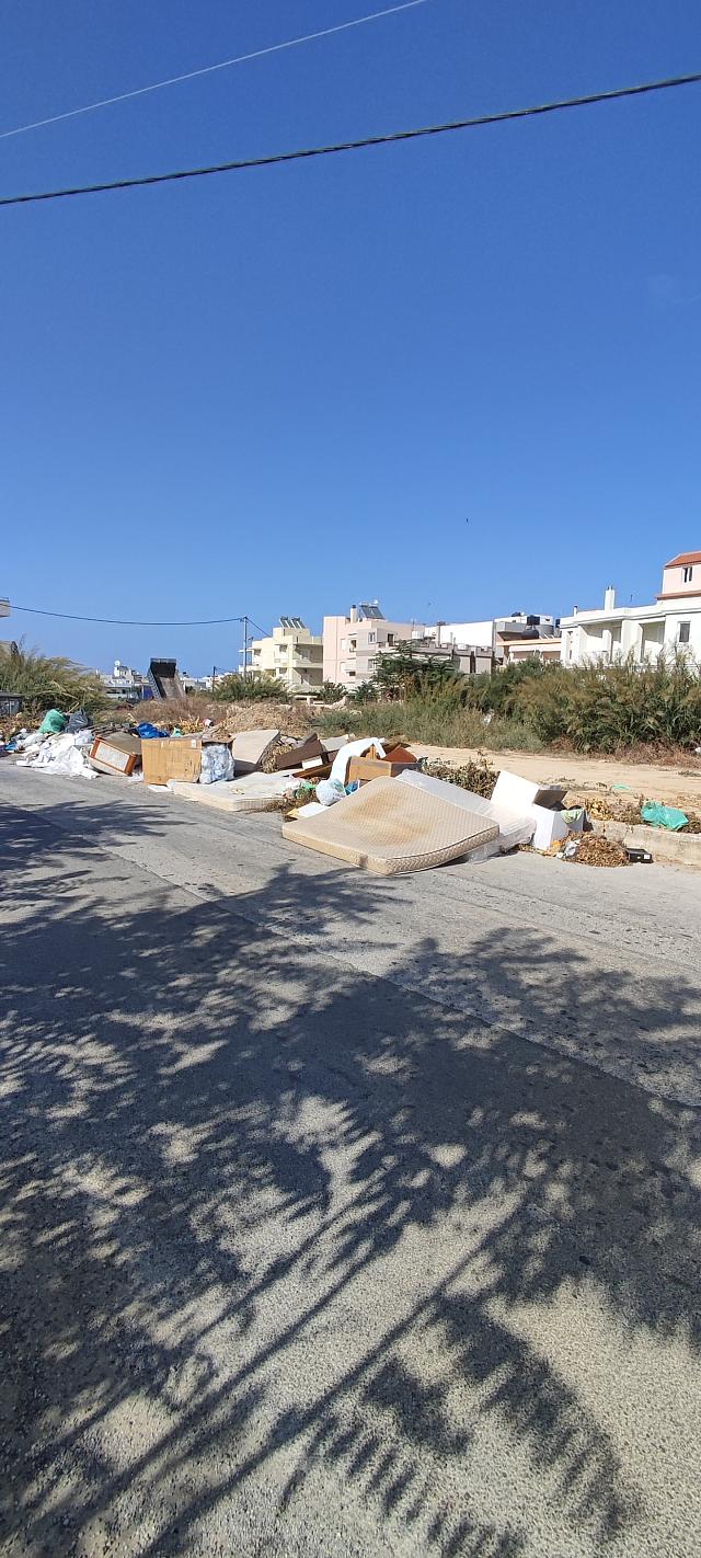 Ψηφοθηρία… επάγγελμα απαιτητικό και πλήρους απασχόλησης