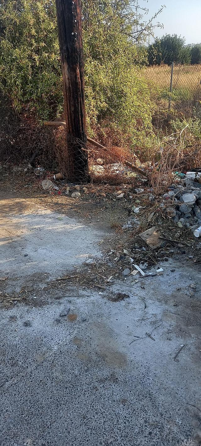 ​ Edit media Image   ​