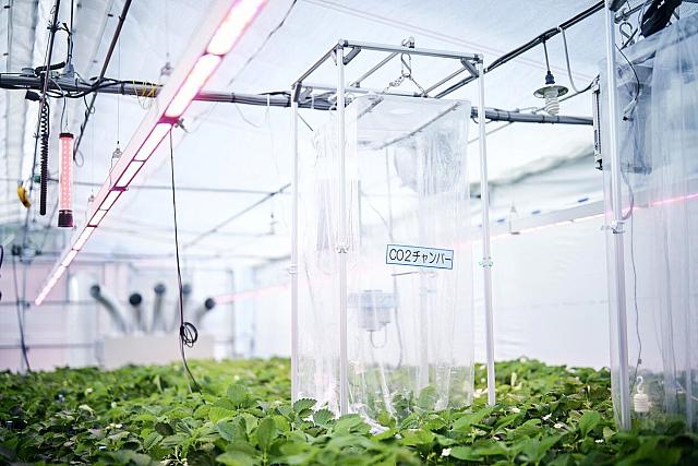 θερμοκηπιο