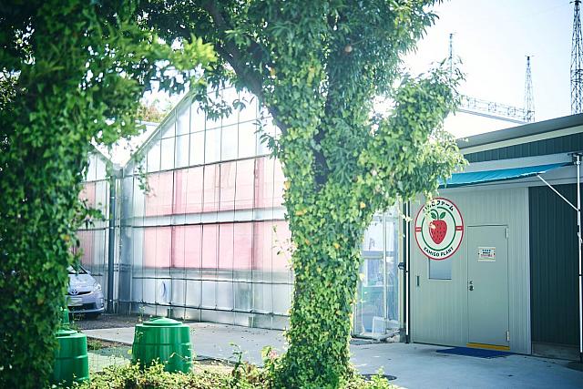 θερμοκηπιο