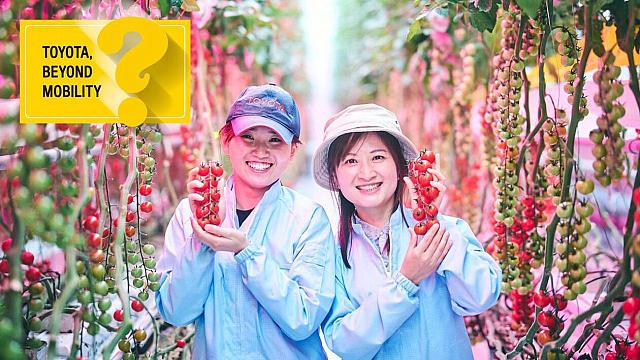 θερμοκηπιο