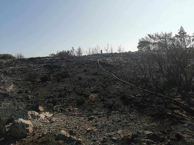 Κρήτη: Συναγερμός στην πυροσβεστική για φωτιά στο Ελαφονήσι