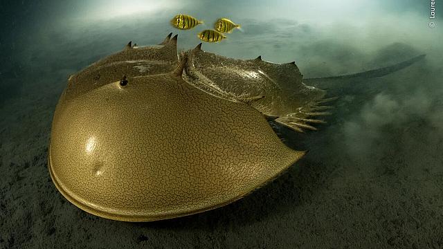 φωτογραφια