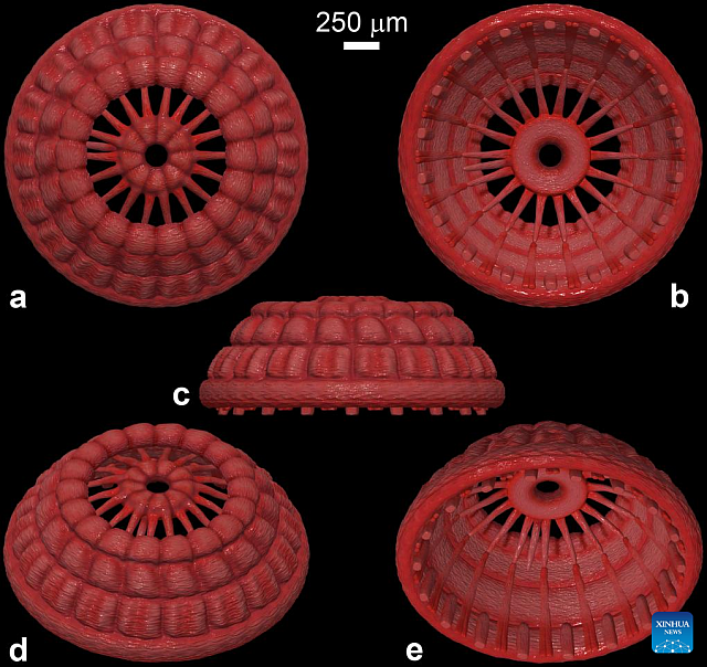Ανακαλύφθηκε παράξενο πλάσμα ηλικίας 535 εκατομμυρίων ετών