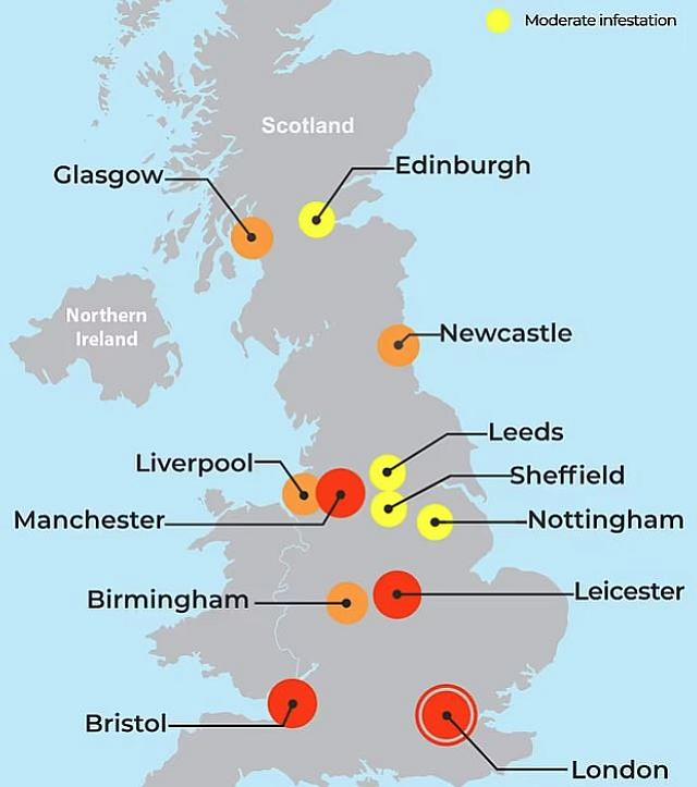 ΧΑΡΤΗΣ ΚΟΡΙΩΝ