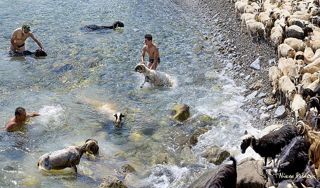 νίκος ψιλάκης