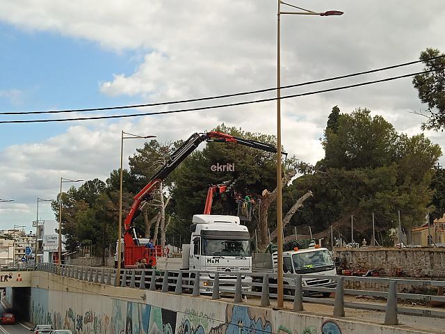 ΚΟΠΗ ΔΕΝΤΡΩΝ ΝΕΚΡΟΤΑΦΕΙΟ ΑΓΙΟΥ ΙΩΑΝΝΗ