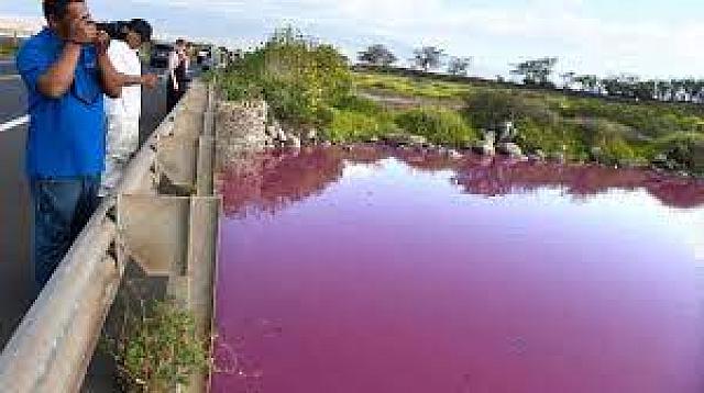 ροζ λιμνη χαβαη