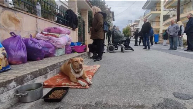 έξωση Χαλκιδική