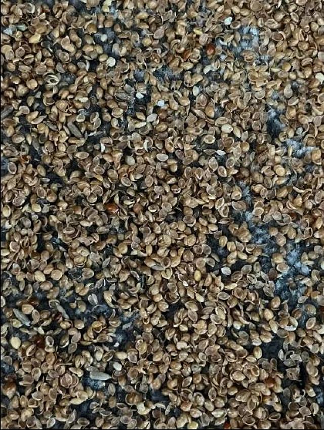 ευρημα σε παιδικό δωμάτιο