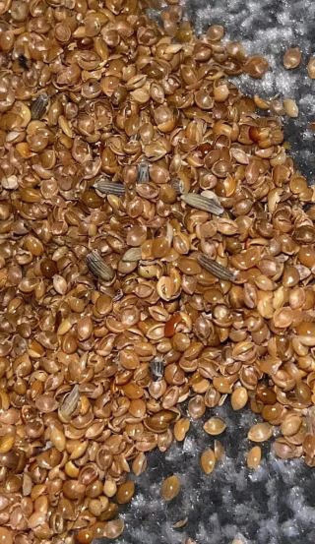 ευρημα σε παιδικό δωμάτιο