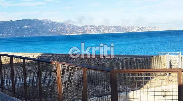 φωτιά αγία πελαγία