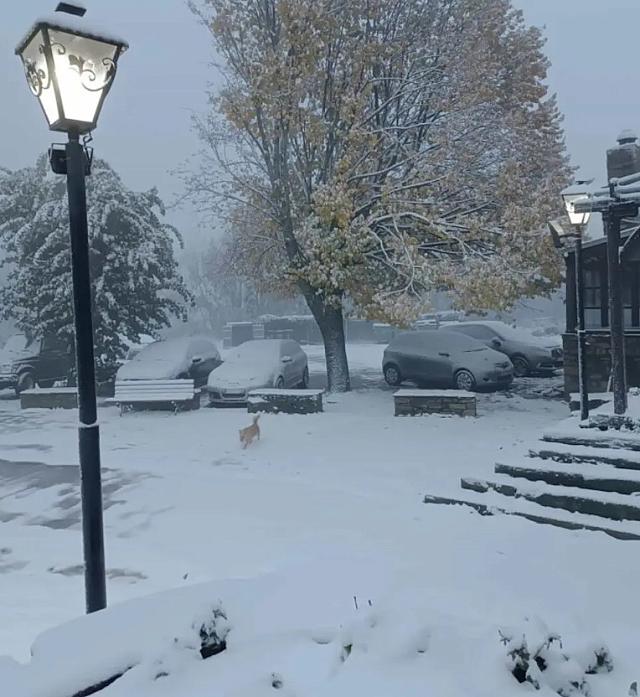 Δυτική Μακεδονία - Χιόνια