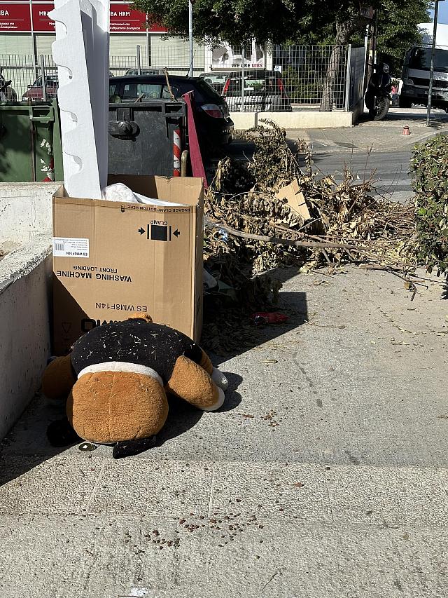 Κλαδιά δέντρου