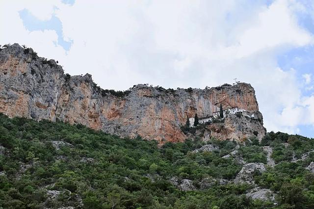 παναλία έλωνα