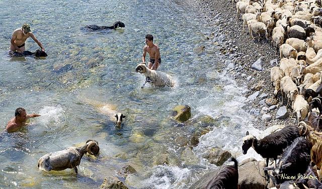 Νικος Ψιλάκης - Εκθεση