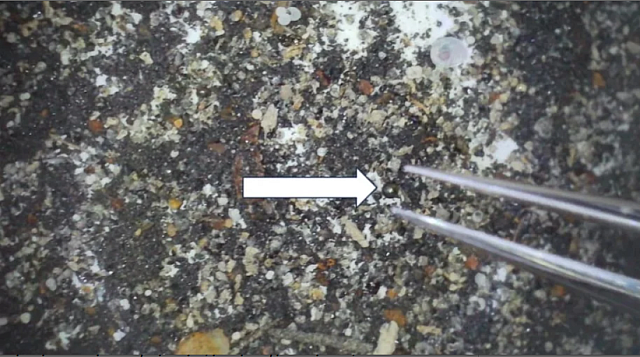 σφαίρες ειρηνικός ανάσυρση