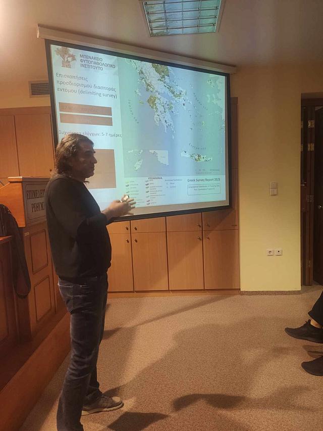 εσπεριδες περιφερεια