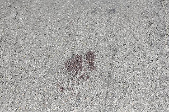 62 μαρτύρων θανατηφόρο