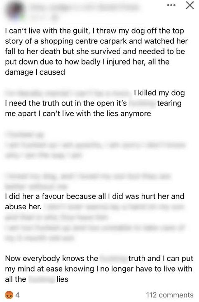 Αυστραλία σκυλί