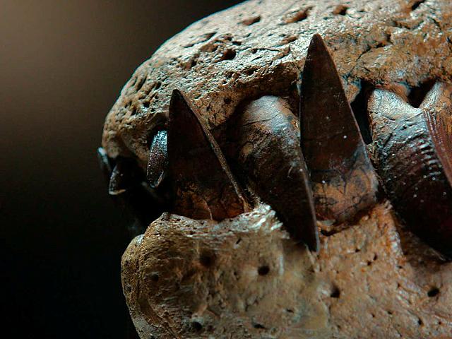 δεινοσαυρος